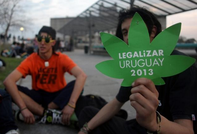 Legalizarea Canepi Uruguay